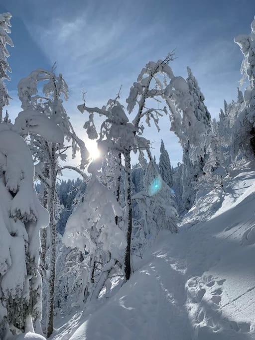 Stube9 Am Feldberg, Direkt An Der Skipiste, Ski In-Ski Out Feldberg  Kültér fotó